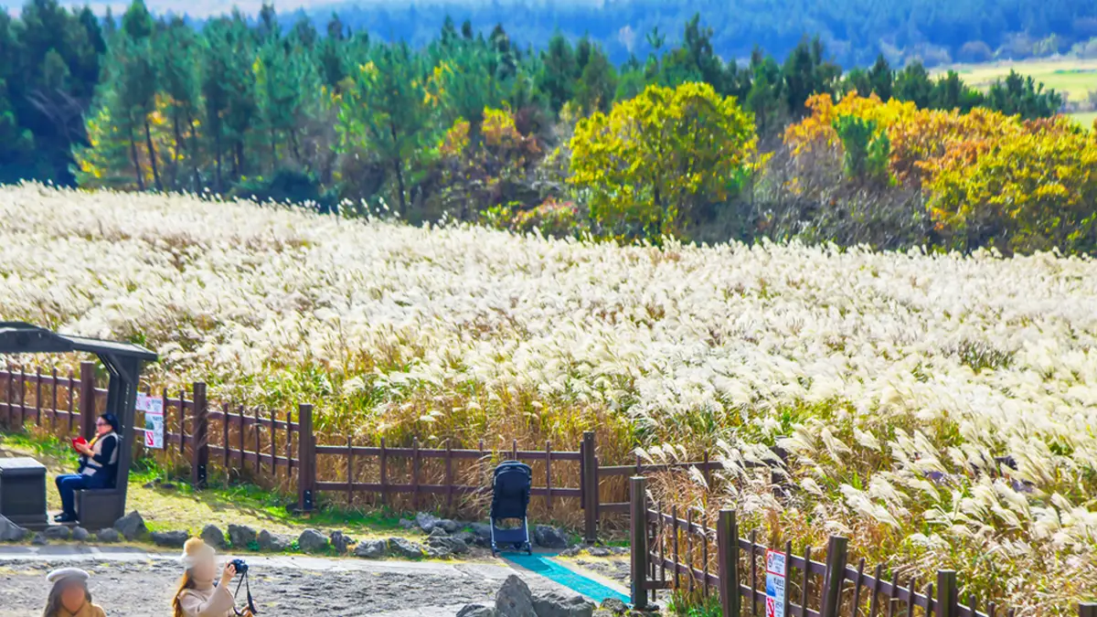 산굼부리 가을풍경