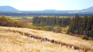 제주 산굼부리 억새 풍경