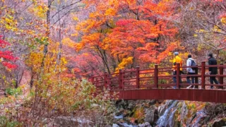 정선 향골 숨바우길