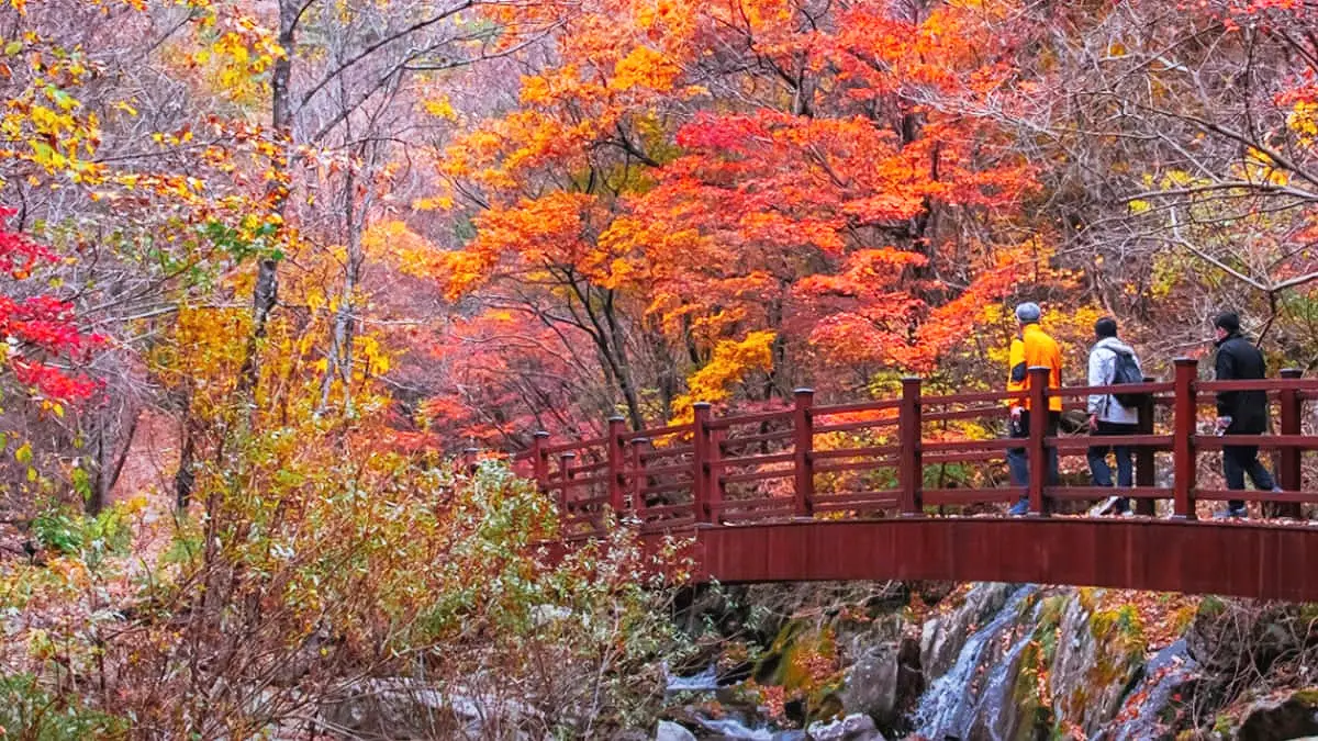 정선 향골 숨바우길