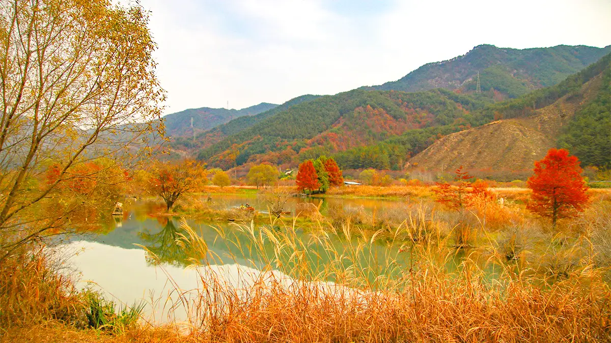 용담호의 가을