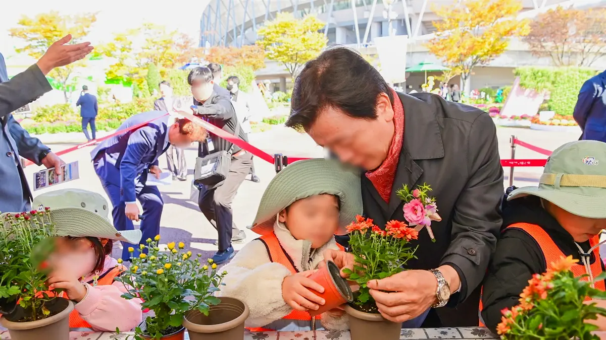 국화 모종심기 체험 국화 모종심기 체험