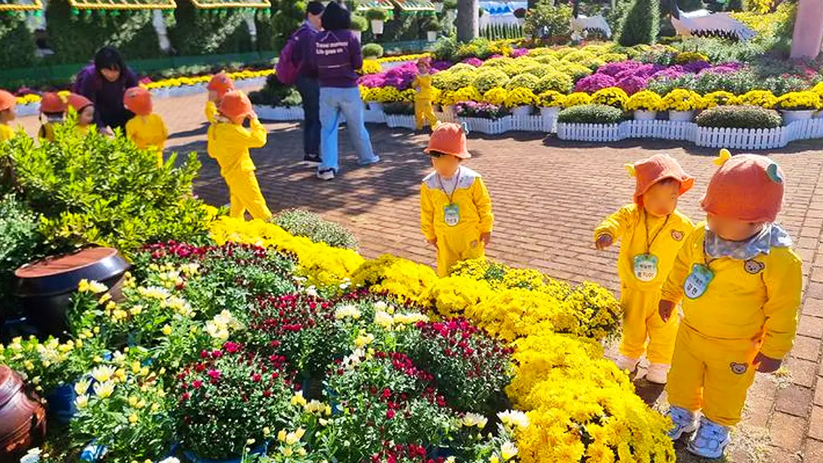 진주국화작품전시회 모습 진주국화작품전시회 모습