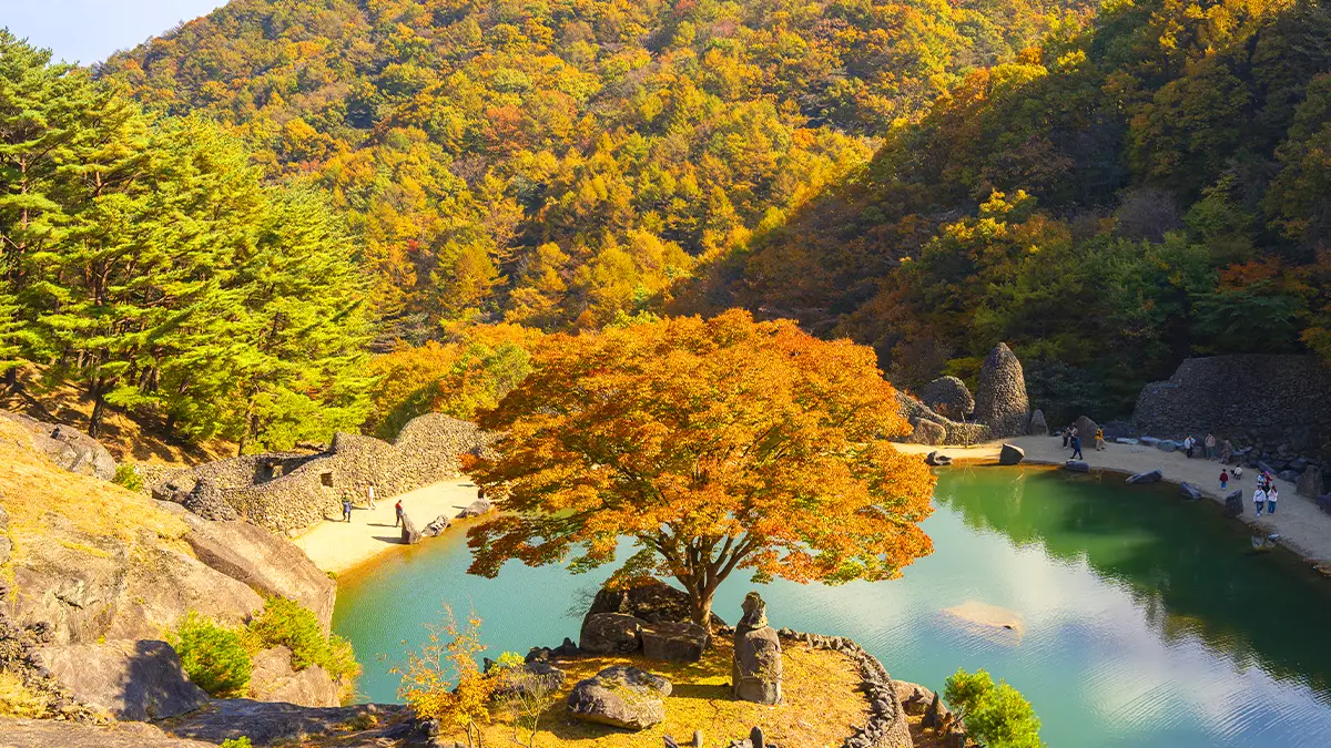 하동 삼성궁 가을 풍경 하동 삼성궁 가을 풍경