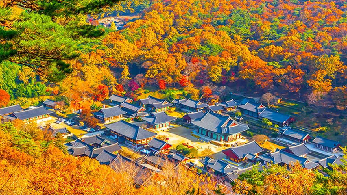 송광사 전경 송광사 전경