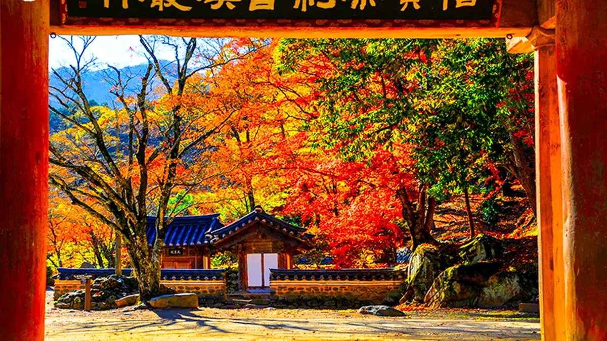 송광사 가을 전경 송광사 가을 전경