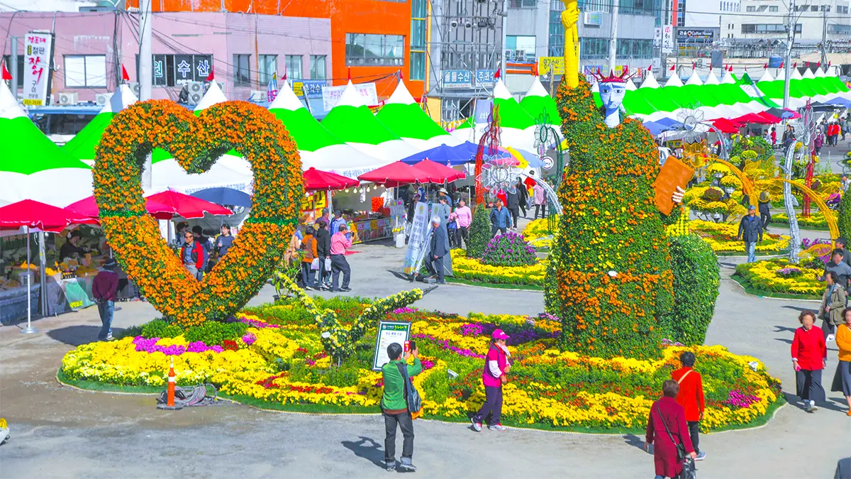 마산가고파국화축제 마산가고파국화축제