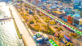 마산가고파국화축제 전경