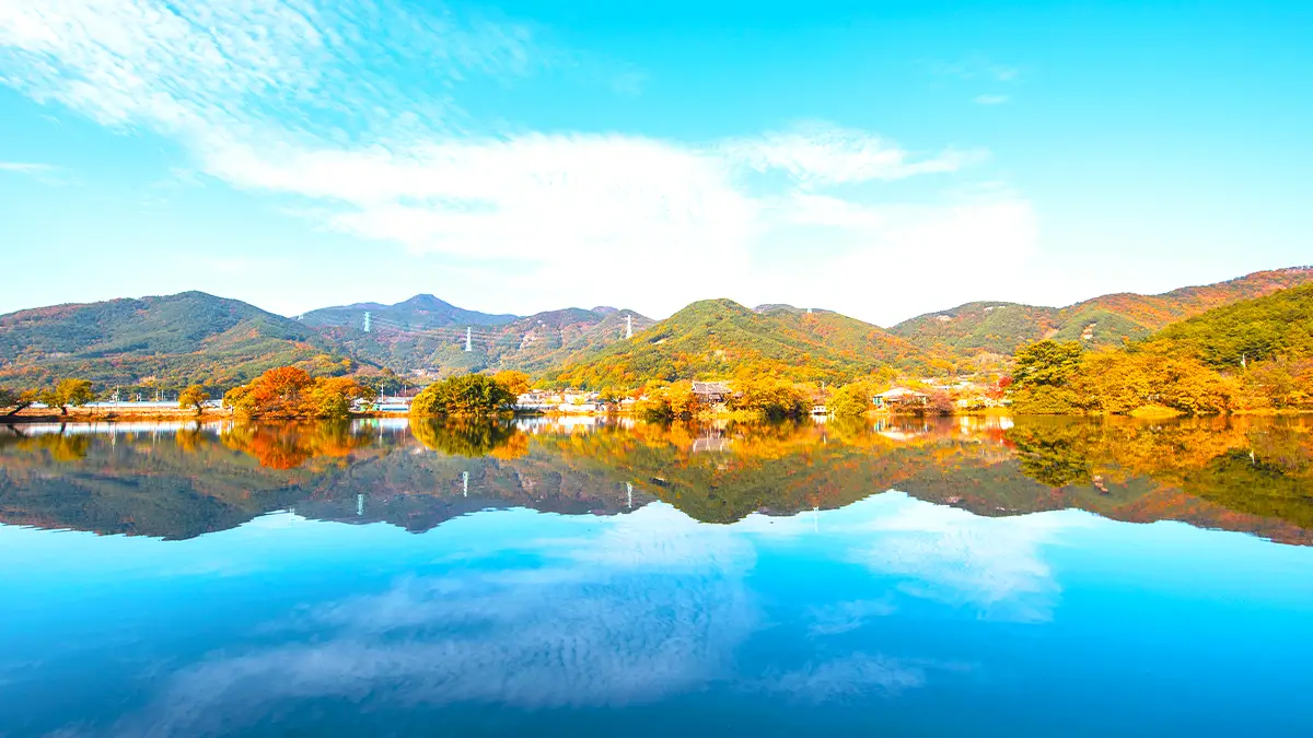 위양지 반영 위양지 반영