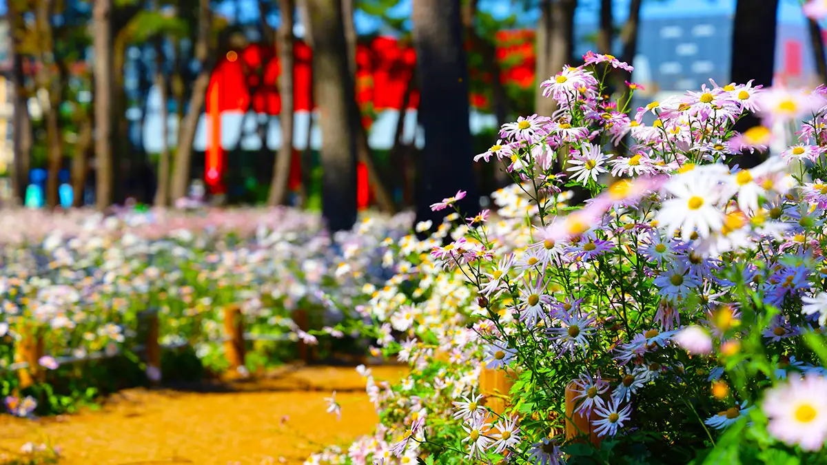 밀양 삼문동 송림공원 밀양 삼문동 송림공원