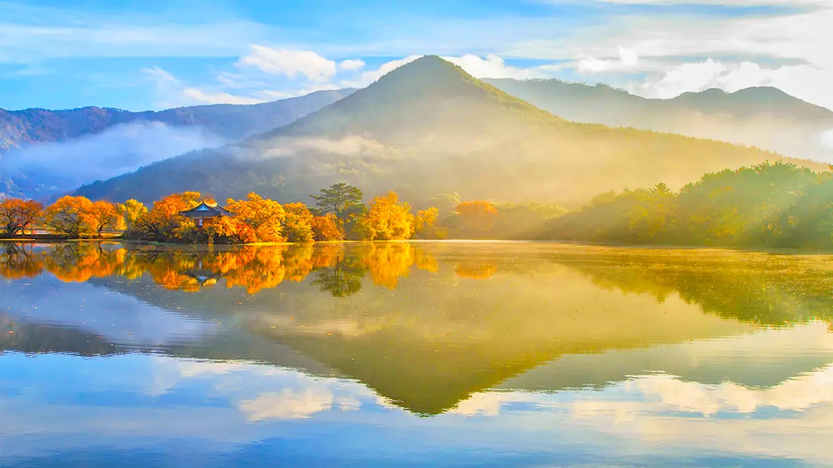 밀양 위양지 가을 밀양 위양지 가을