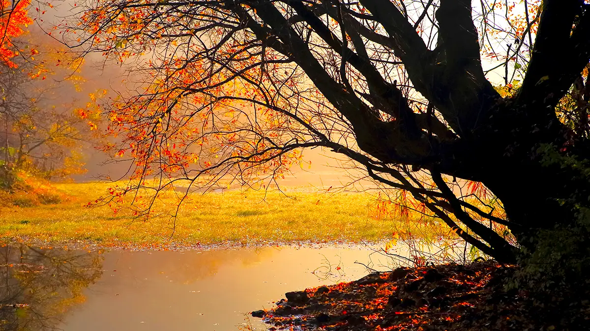 밀양 위양지 절경 밀양 위양지 절경