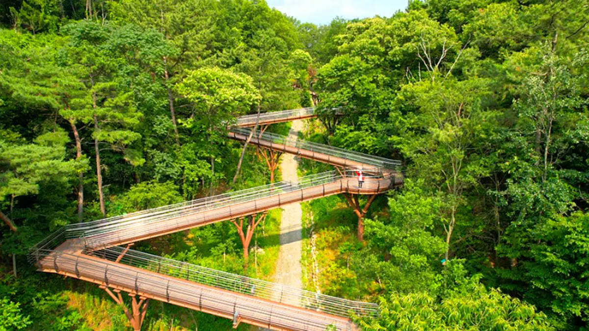 밀양 용두산 생태공원 밀양 용두산 생태공원