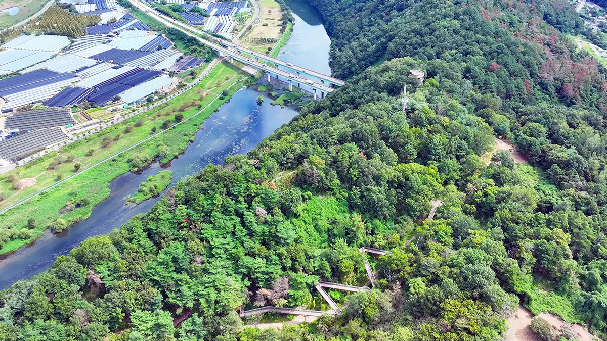 밀양 용두산 생태공원 전경 밀양 용두산 생태공원 전경