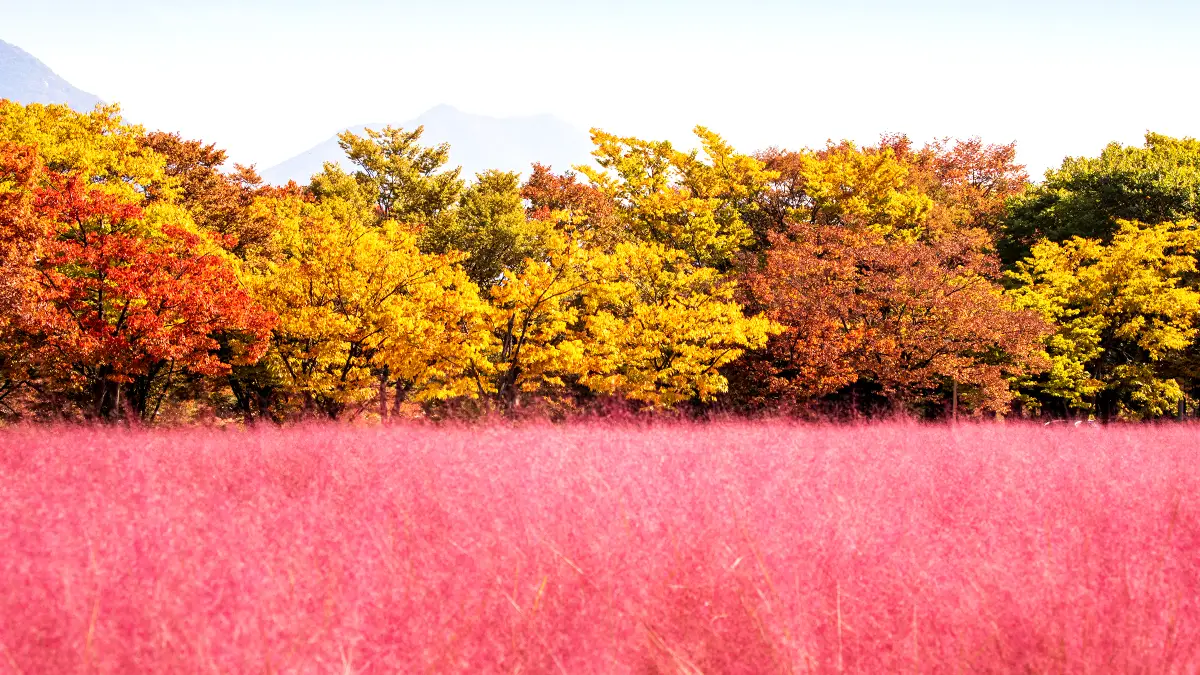 미사경정공원 풍경 미사경정공원 풍경