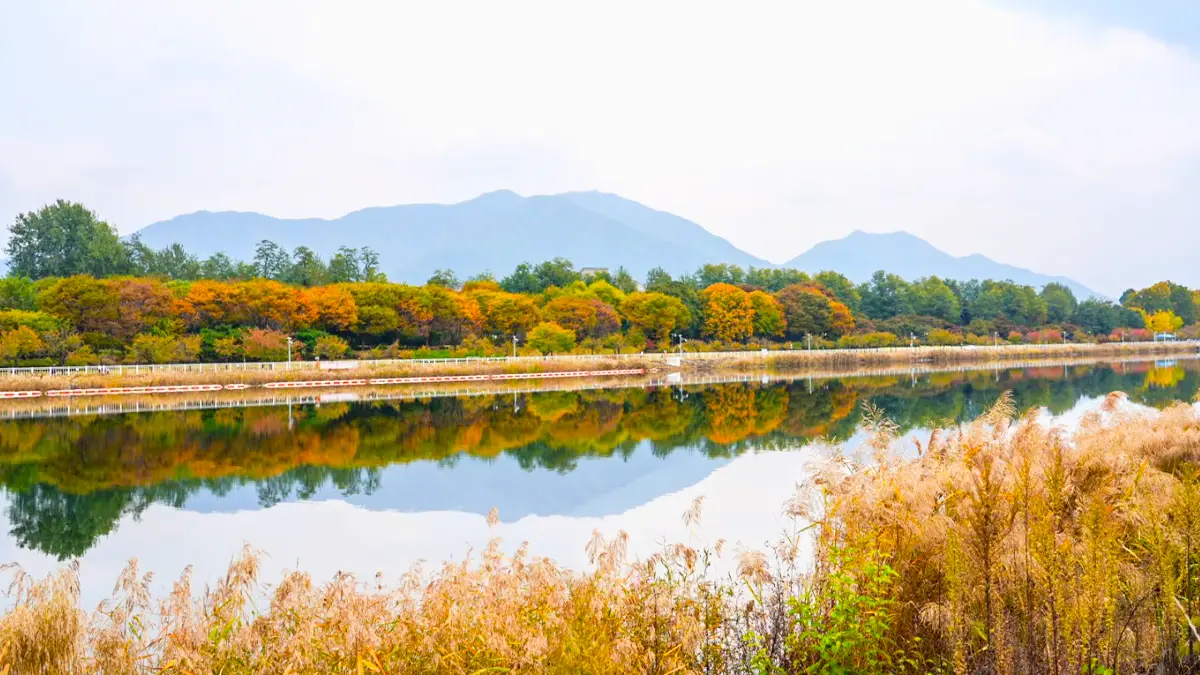 호수와 단풍 호수와 단풍