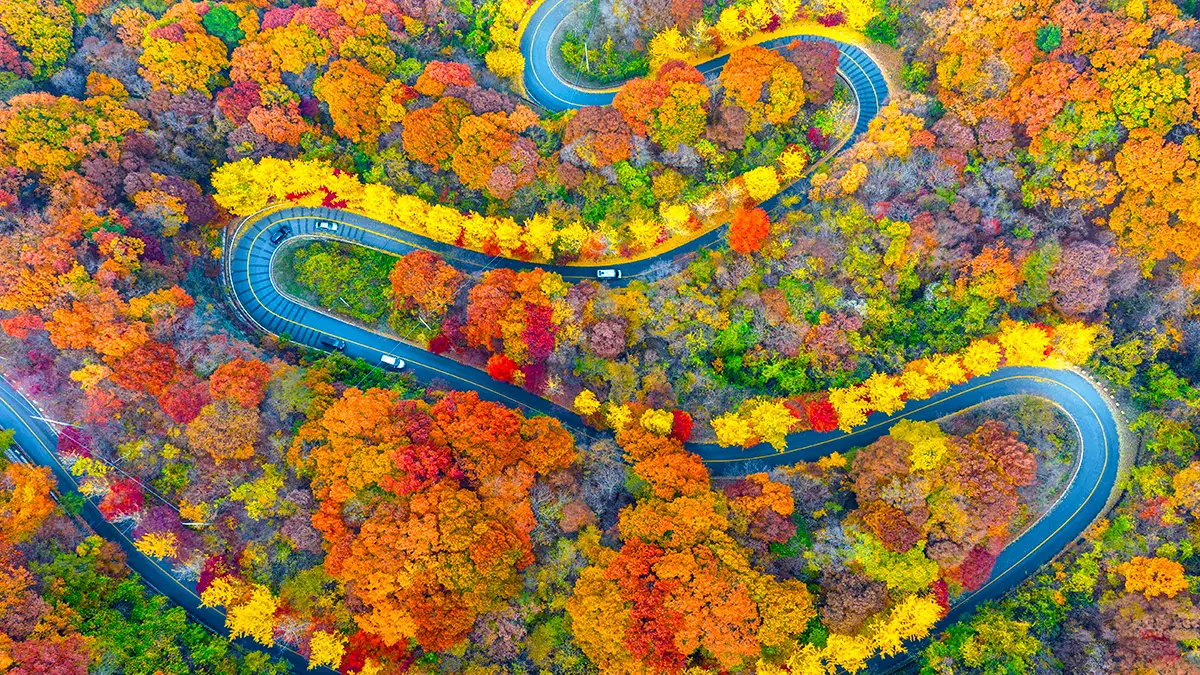 무주 적상산 드라이브