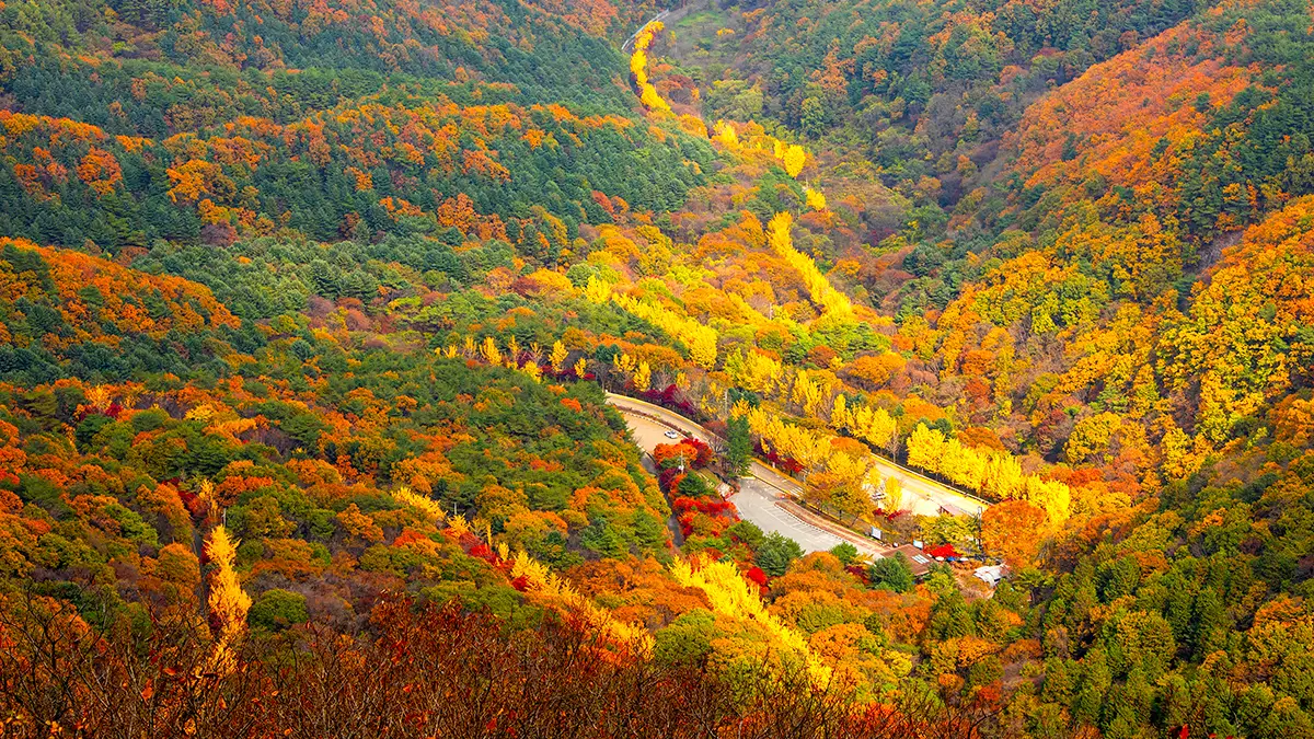 무주 적상산 가을 드라이브 무주 적상산 가을 드라이브