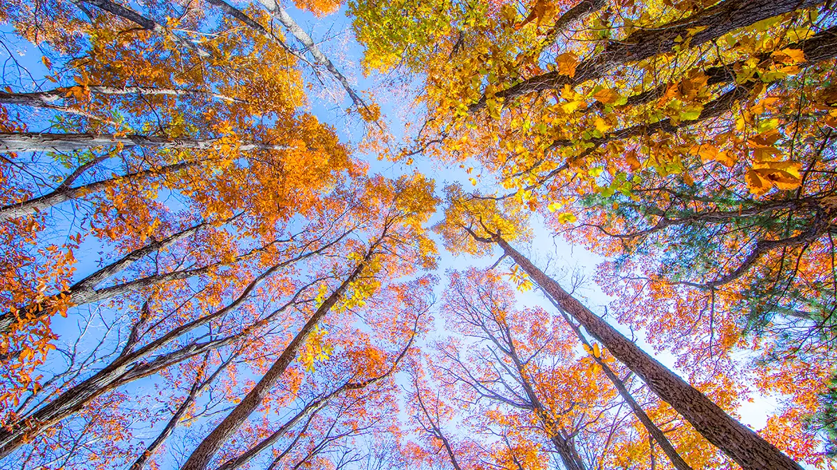 무주 적상산 무주 적상산