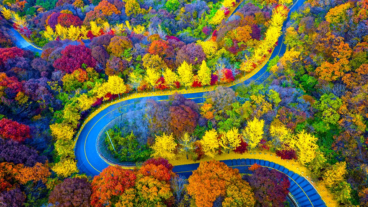 무주 적상산 가을 절경 무주 적상산 가을 절경