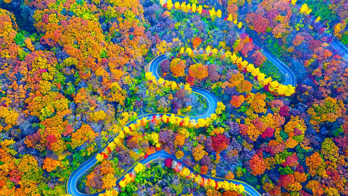 무주 적상산 드라이브길 항공샷 무주 적상산 드라이브길 항공샷