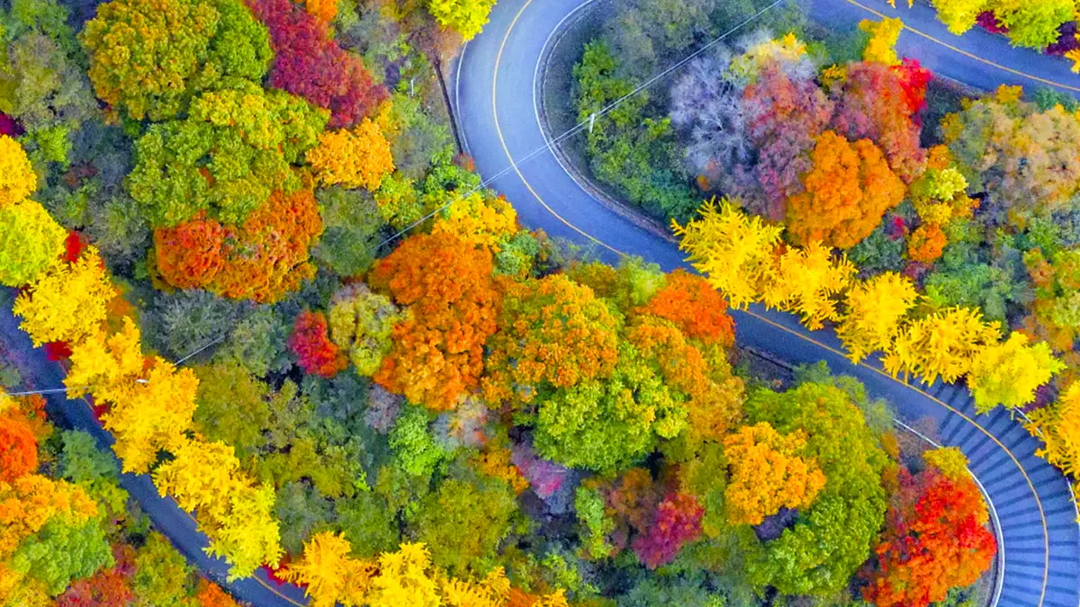 무주 적상산 가을 드라이브