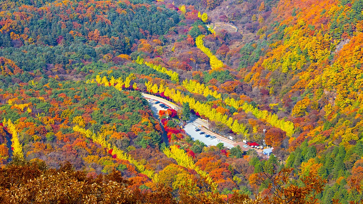 무주 적상산 드라이브 전경