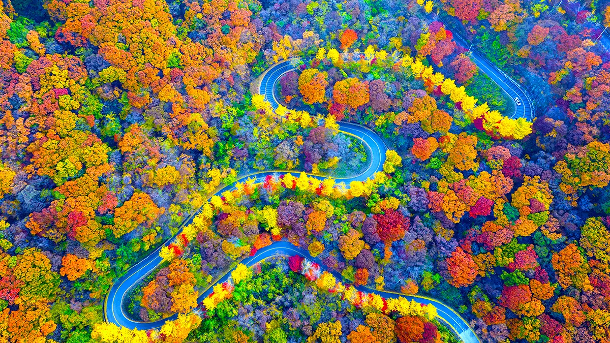 무주 적상산 가을