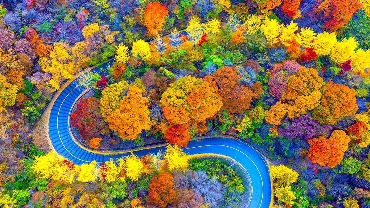 무주 적상산 단풍