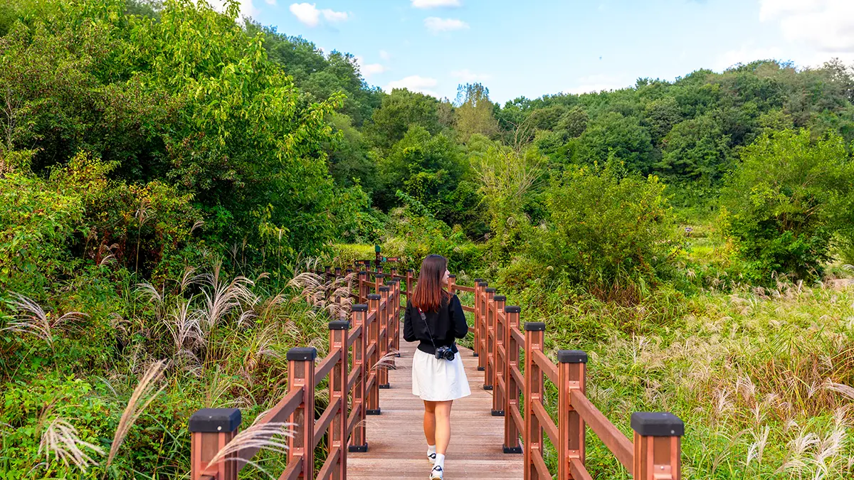 문경 돌리네습지 생태길