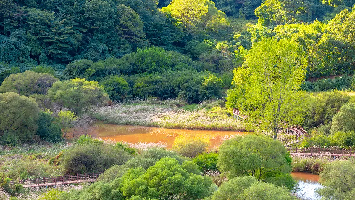 문경 돌리네습지