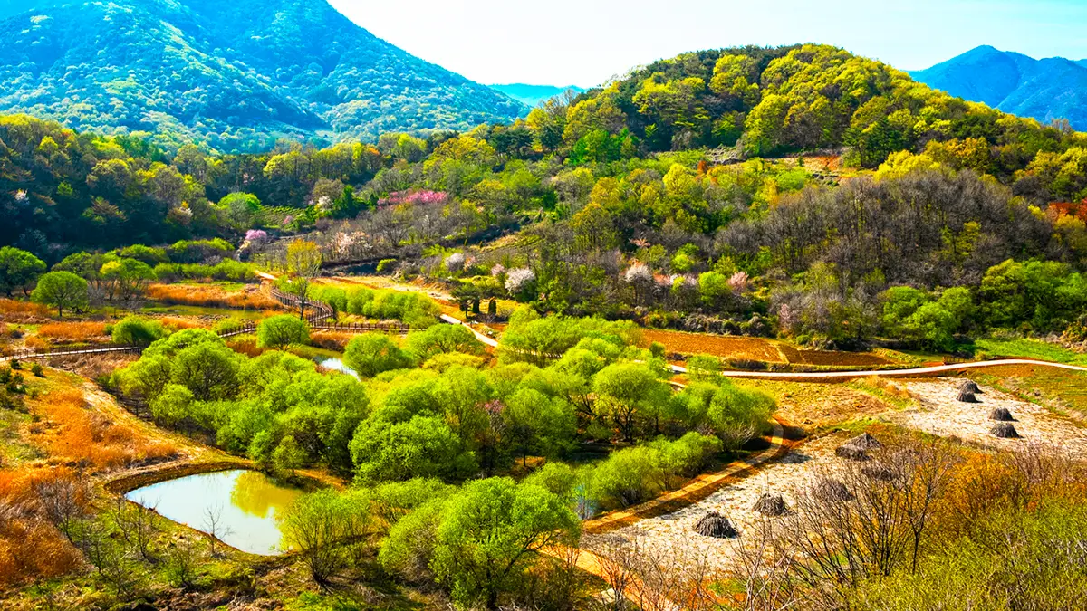 문경 돌리네습지 전경