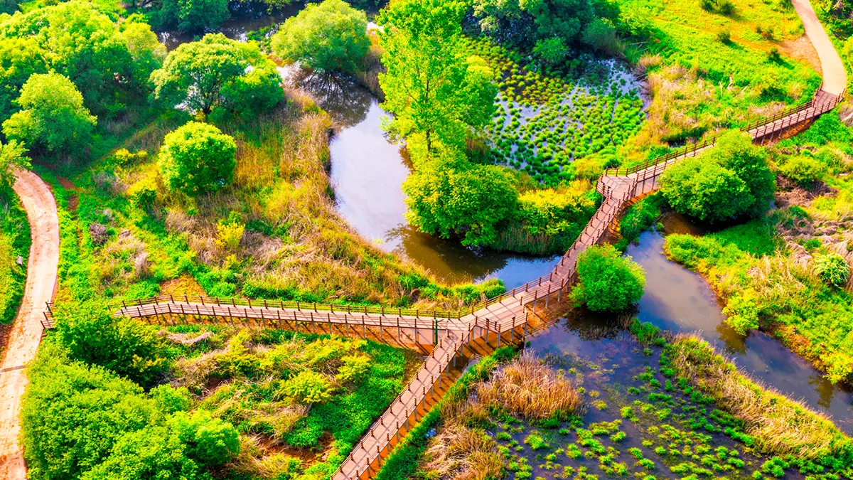 문경 돌리네습지 항공샷