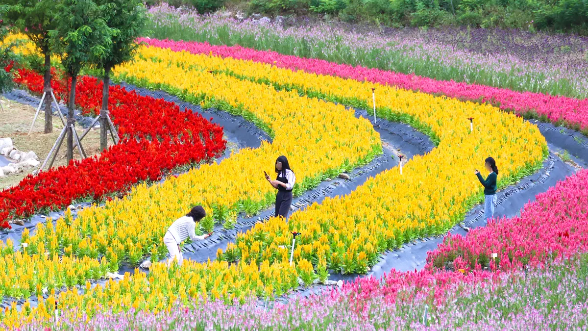 무릉별유천지 무릉별유천지
