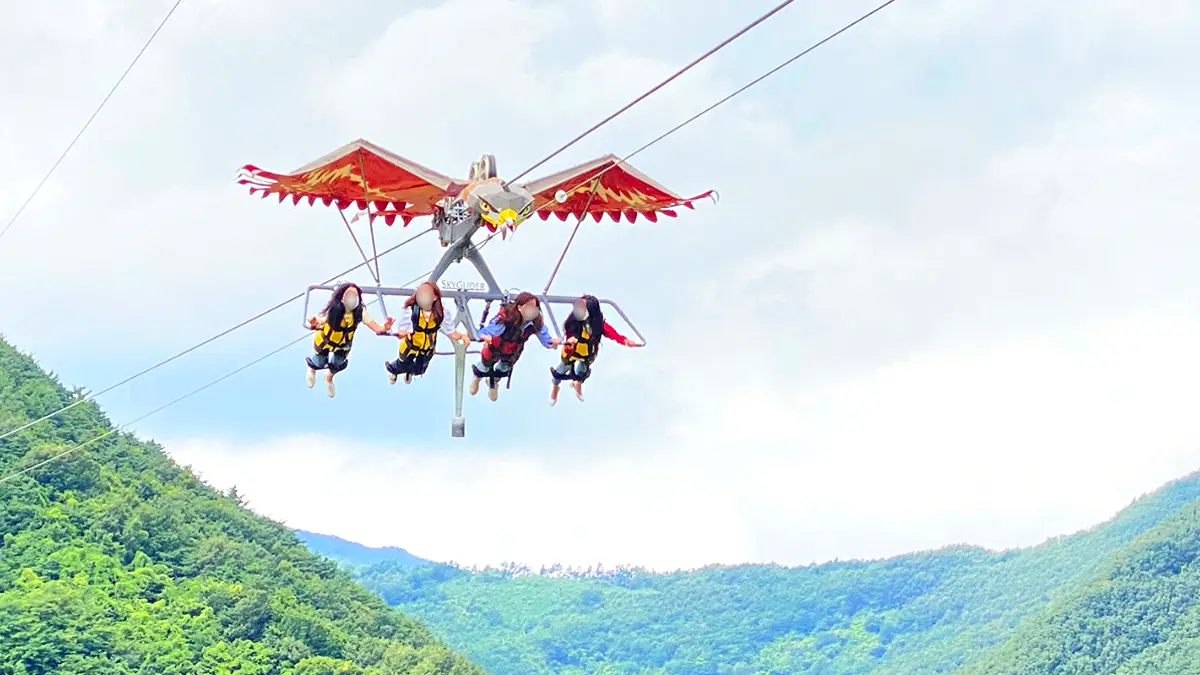 무릉별유천지 스카이글라이더 무릉별유천지 스카이글라이더