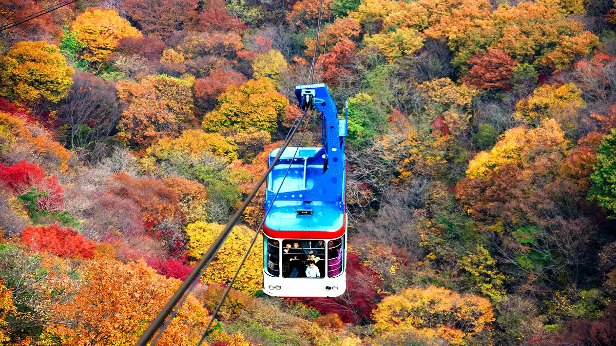 내장산케이블카 내장산케이블카