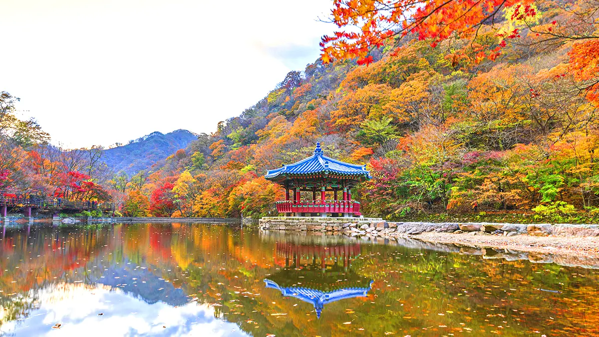 우화정 가을 풍경