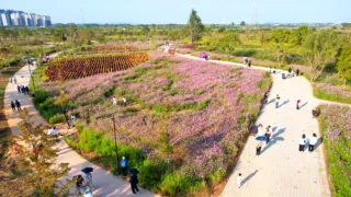 나주 영산강정원