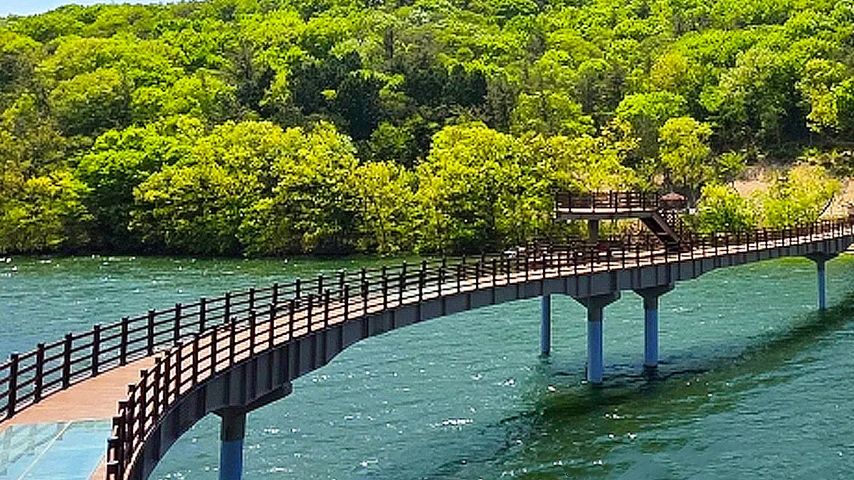 나주호 둘레길 나주호 둘레길