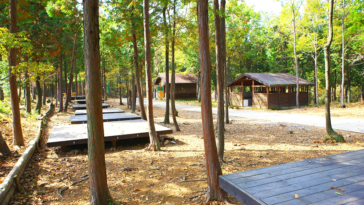 남해 편백자연휴양림