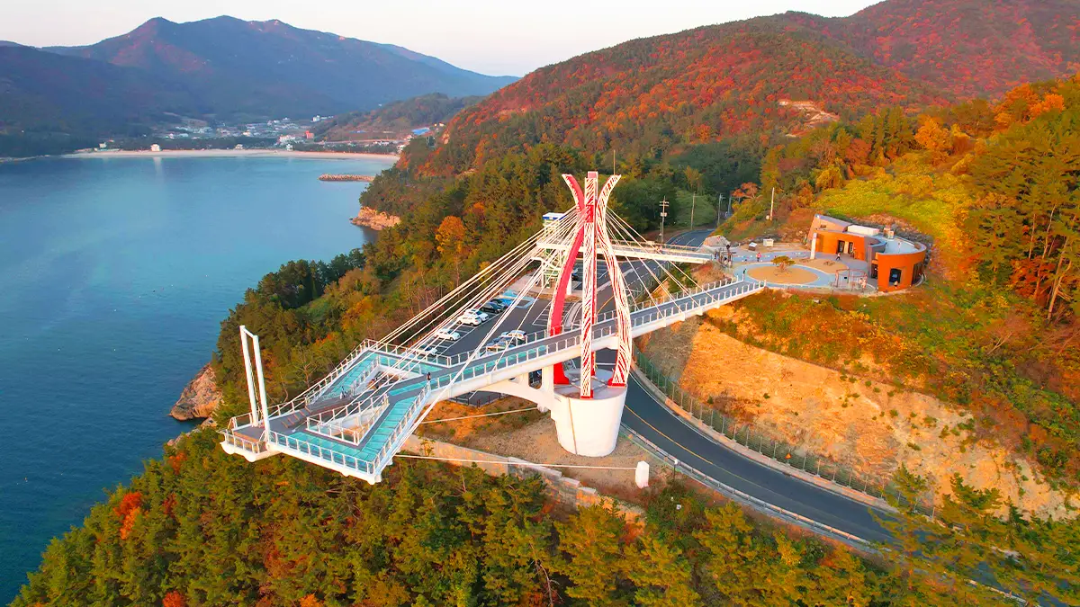 남해 설리 스카이워크