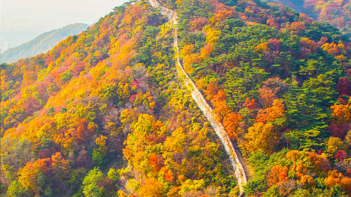 남한산성 항공사진 남한산성 항공사진
