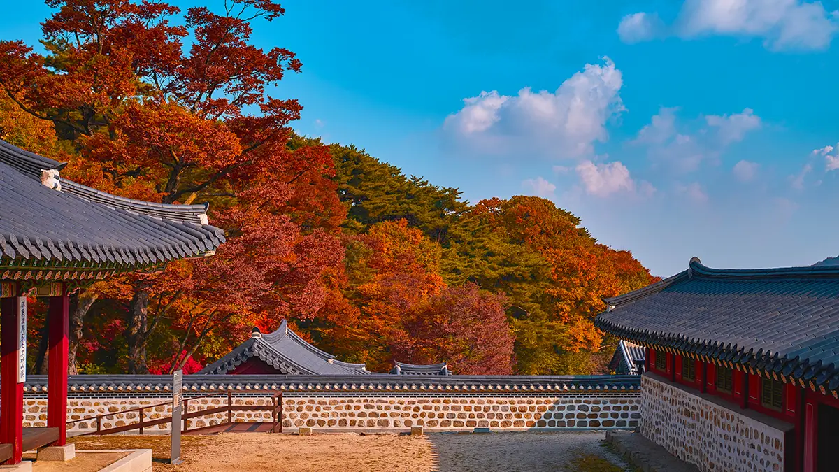 남한산성 둘레길 남한산성 둘레길