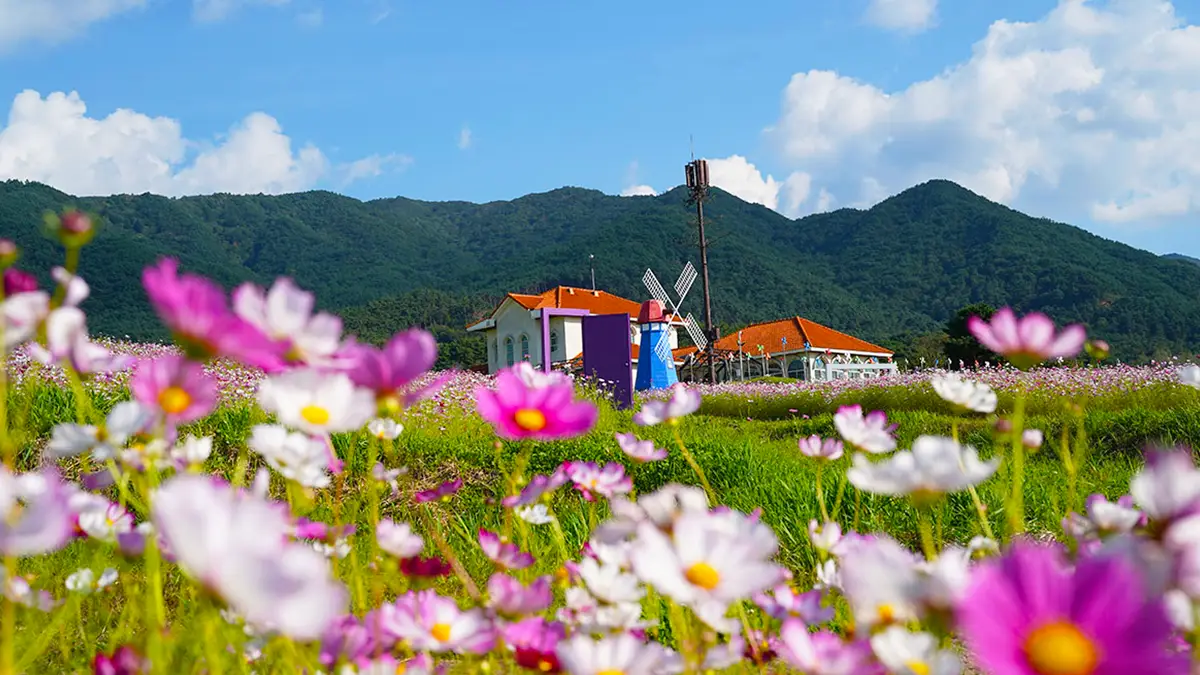 남원 지리산허브밸리 남원 지리산허브밸리