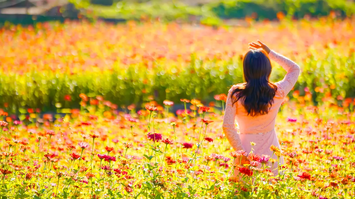 남원 신생마을 꽃단지 전경