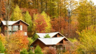 국립횡성숲체원