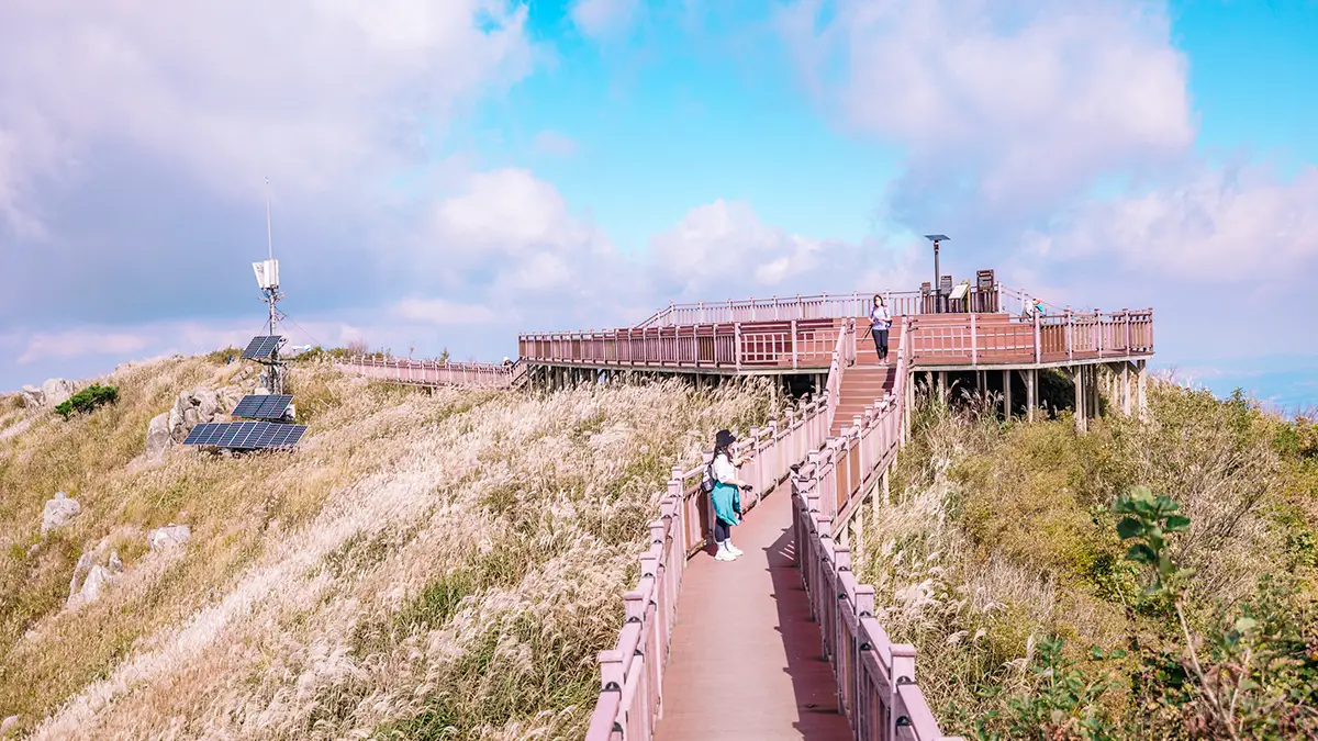 오서산 가을 트레킹