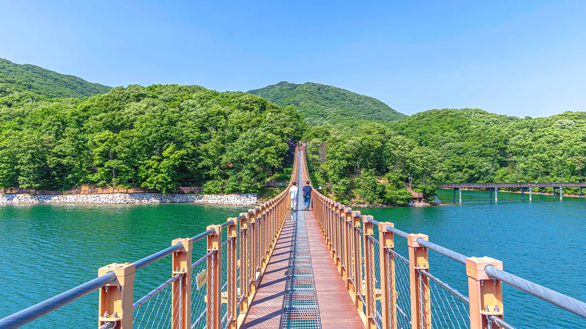 마장호수 출렁다리 여름 풍경 마장호수 출렁다리 여름 풍경