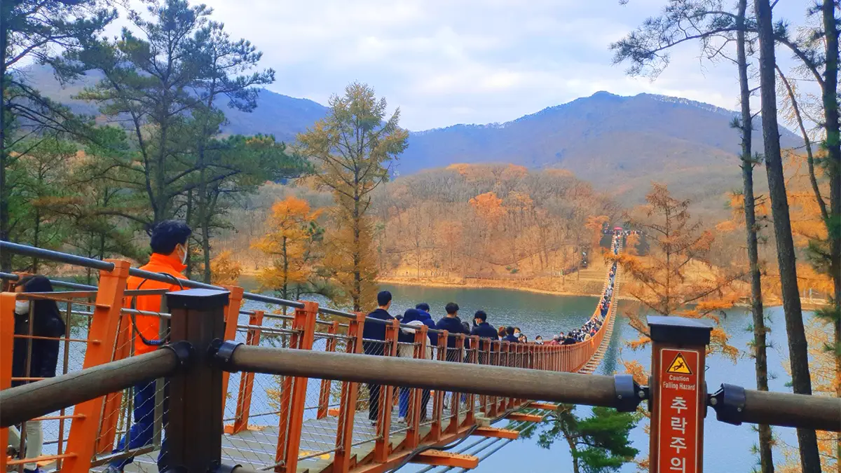 마장호수 출렁다리 걷는 모습 마장호수 출렁다리 걷는 모습