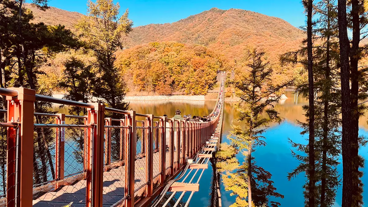 마장호수 출렁다리 마장호수 출렁다리